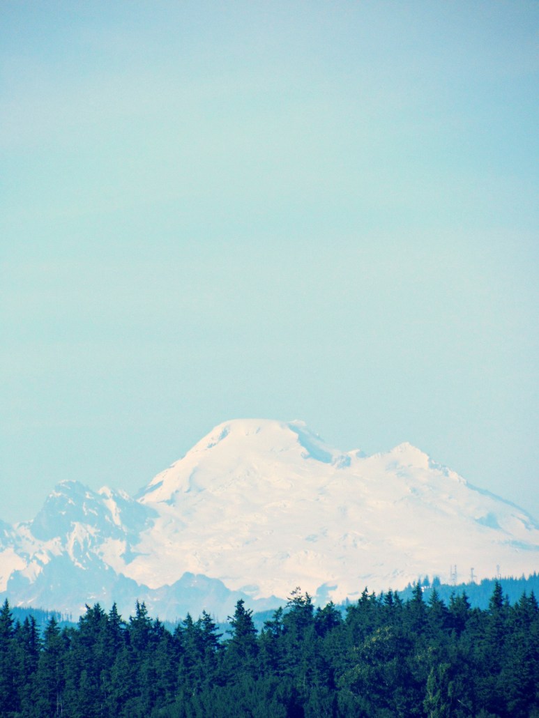 purplemountainsmagesty