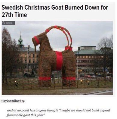 10392437_922032421141193_6761642031896234380_n.thumb.jpg.afe2ca403e8d1e0840bb2b3658277c46